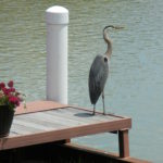 Dock Ornament