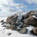 Shoreline of Ice