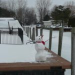 Snow Much Fun